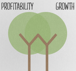 profitability growth
